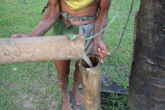 image Recolector de vino de Palma, Jogyakarta, Indonesia