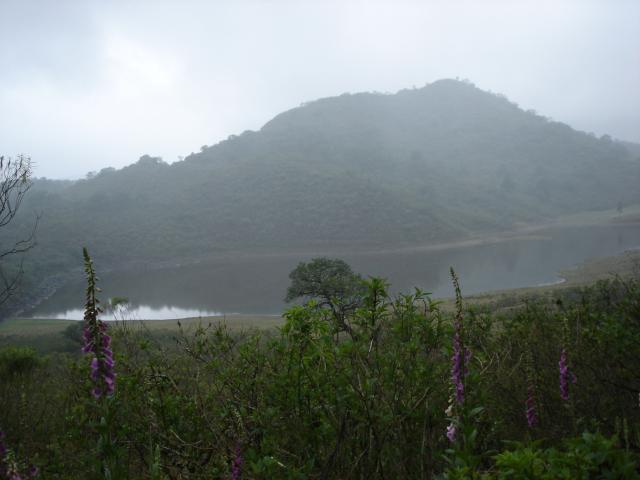 image Lagunas de Yala, Jujuy, Argentina