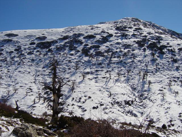 image Cerro La Torrecilla, Sierra de las Nieves, Málaga