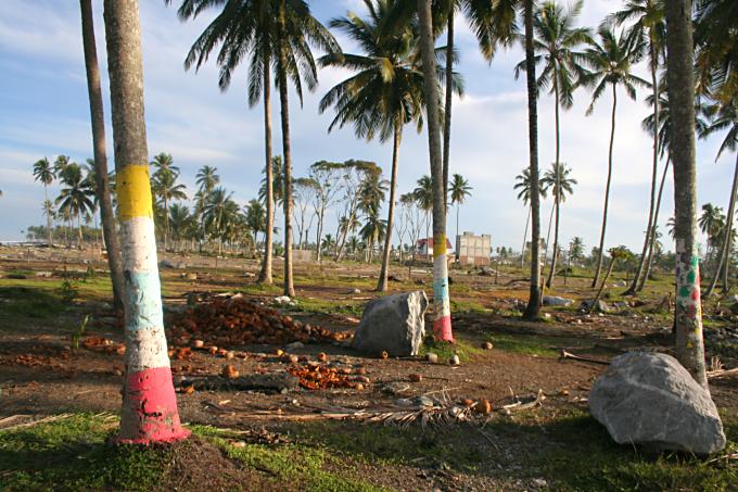 image Zócalos de casas y palmeras pintadas de Melaboh, Sumatra, Indonesia