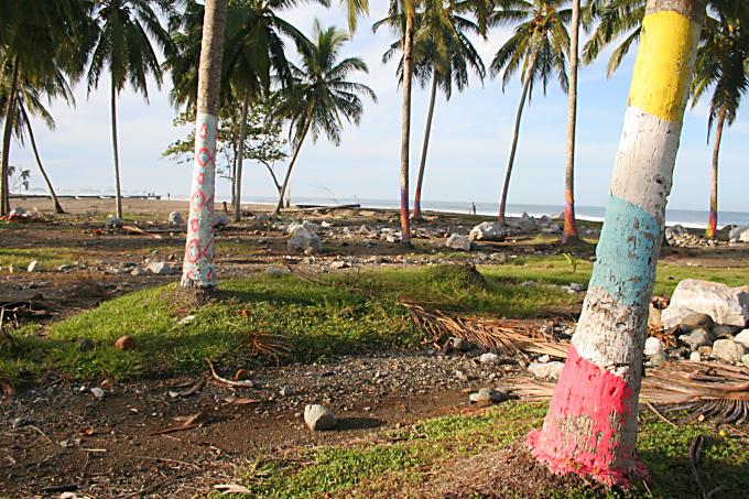 image Zócalos de casas y palmeras pintadas de Melaboh, Sumatra, Indonesia