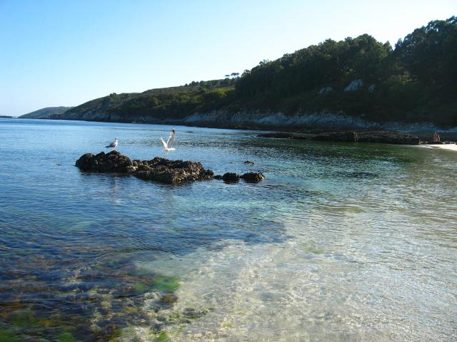 image Playa de Melide, en la Isla de Ons, Pontevedra