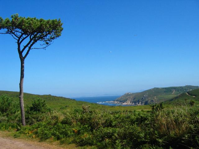 image Panorámica de la Isla de Ons, con la Ensenada das Caniveliñas, Pontevedra