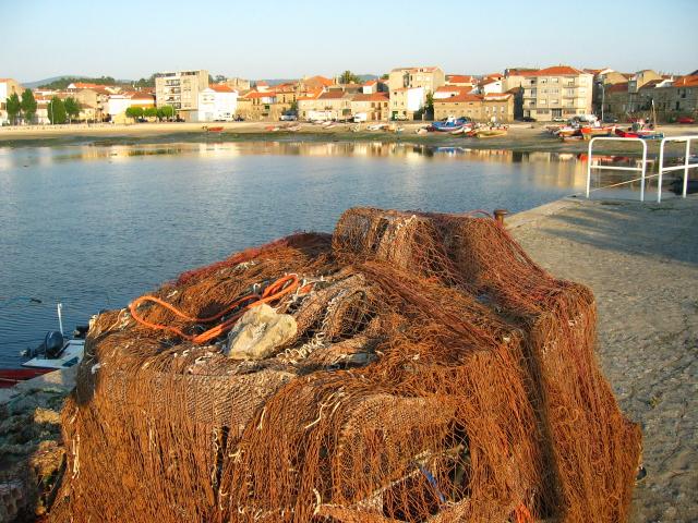 image Puerto de Cambados, Pontevedra