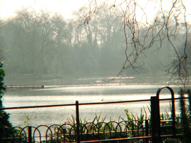 image Lago en el Parque Cheswick, Londres