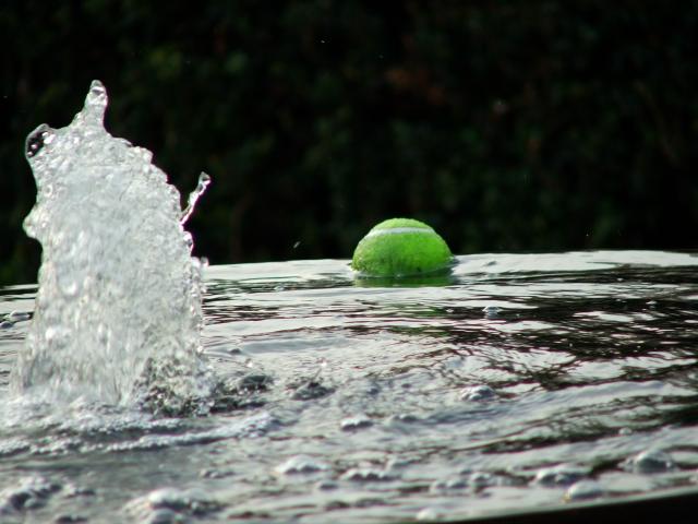 image Punto de partido