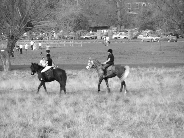 image A caballo en Richmond Park, Londres, Reino Unido