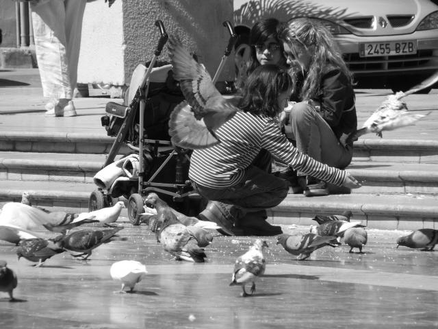 image Dando de comer a las palomas, Valencia