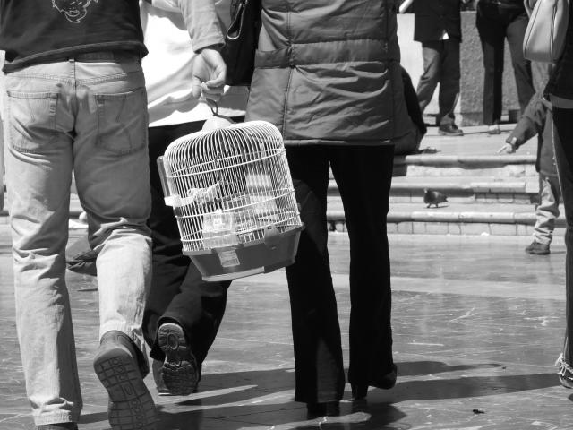 image Libertad vigilada