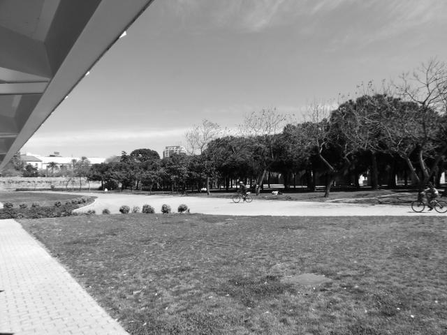 image Bajo el Puente de las Flores, Valencia