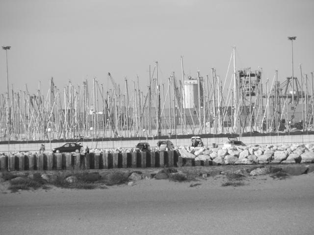 image Mástiles de los barcos del puerto de Pinedo, Valencia