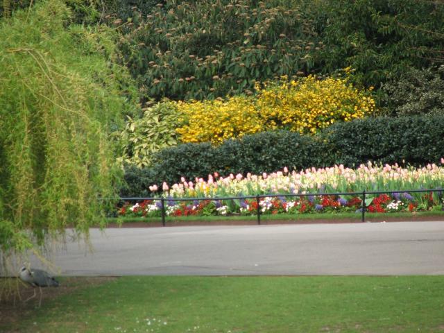 image Paseo en Regent's Park, Londres, Reino Unido