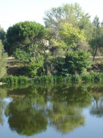 image Orillas del Duero, Zamora