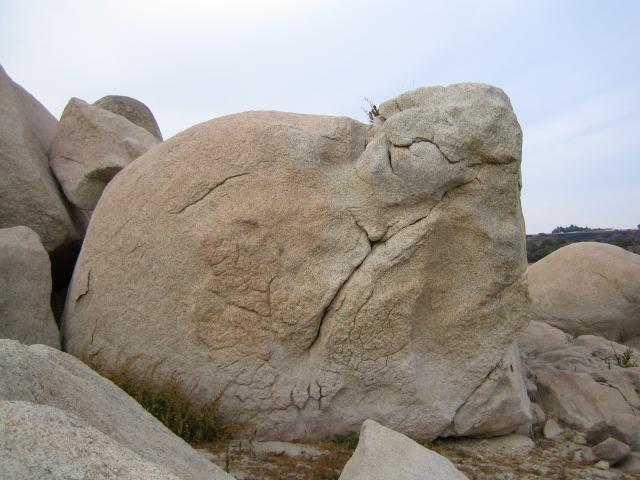 image Rocas en el Embalse de Almendra, Zamora