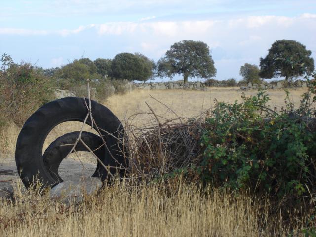 image Acceso a una finca de la comarca de Sayago, Zamora