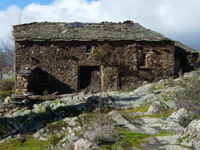image Vivienda de arquitectura negra, Guadalajara