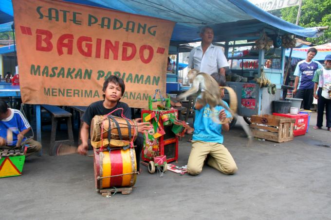 image Circo callejero, Jakarta, Java, Indonesia