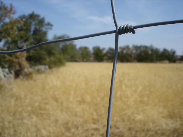 image Valla de un campo de trigo de la comarca de Sayago, Zamora