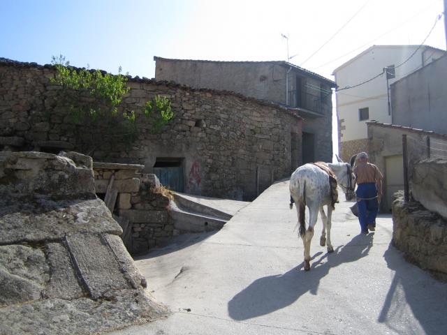 image Mula de cabestro por una calle de Fermoselle, Sayago, Zamora