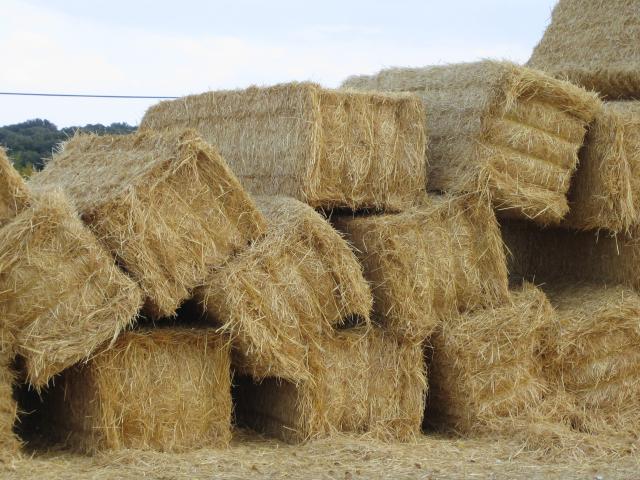 image Pacas de paja en la comarca de Sayago, Zamora