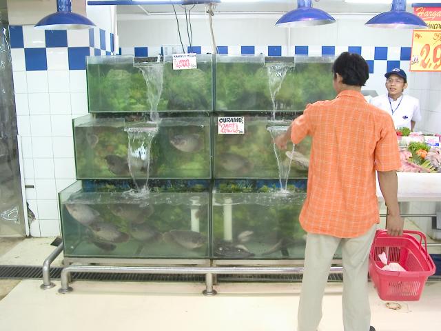 image Venta de pescado fresco, Jakarta, Indonesia