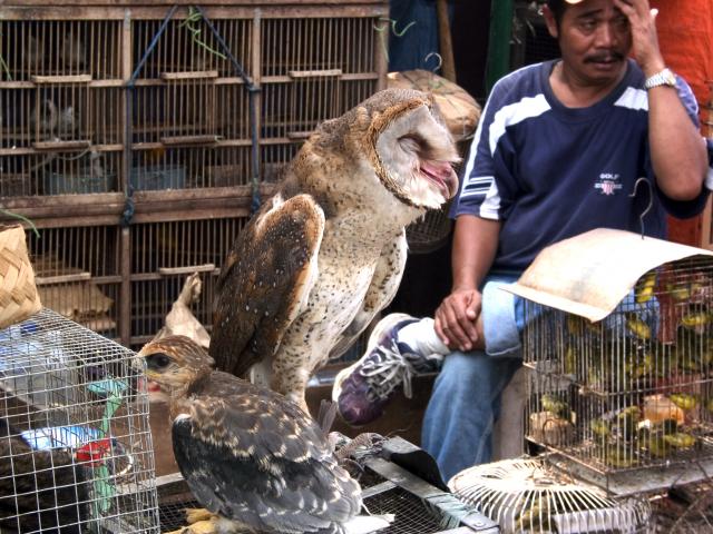 image Puesto de mercado, Jakarta, Indonesia