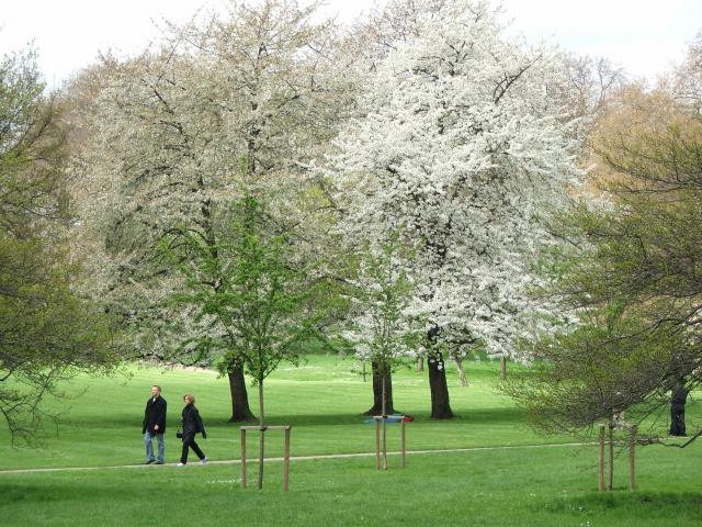 image Green Park, Londres, Reino Unido