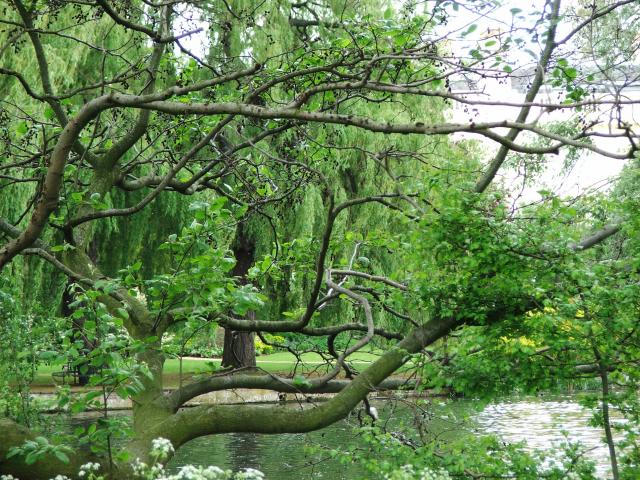 image Vegetación en Regent's Park, Londres, Reino Unido