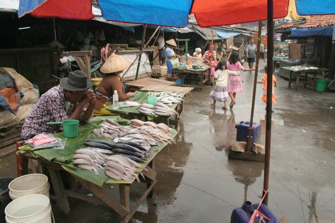 image Puesto de pescado fresco, Sunda Kelapa, Indonesia