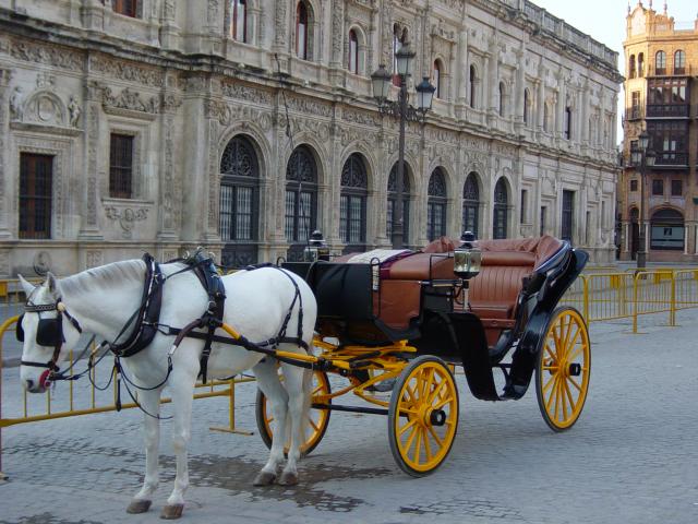 image Coche de caballos frente al Ayuntamiento de Sevilla