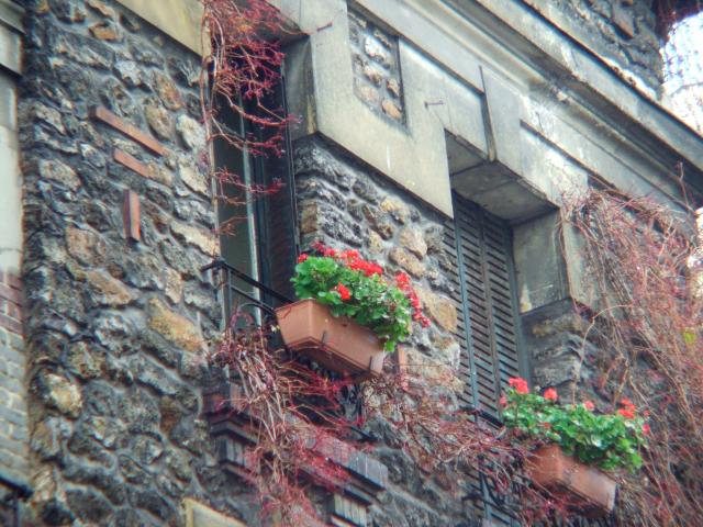 image Balcones de una casa de estilo rural, París