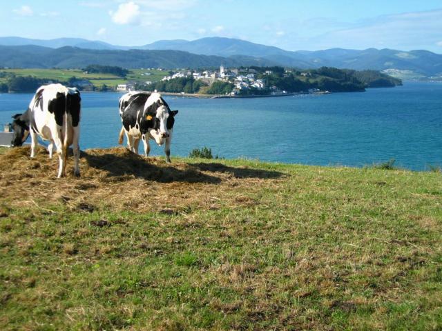 image Ría de Ribadeo, Lugo