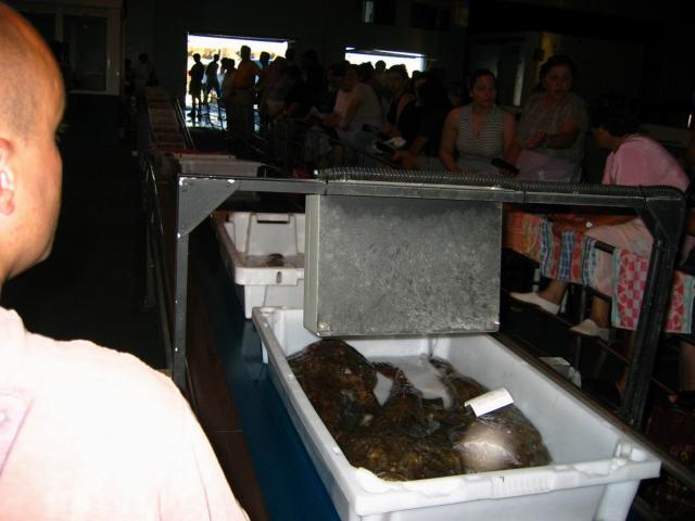 image Lonja de Portonovo, Galicia