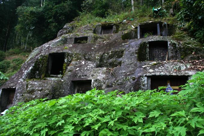 image Roca llena de cavidades de tumbas, Sulawesi, Indonesia
