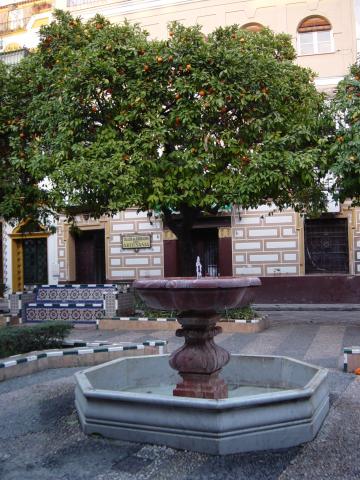 image Fuente de la Plaza de Doña Elvira, Barrio de Santa Cruz, Sevilla