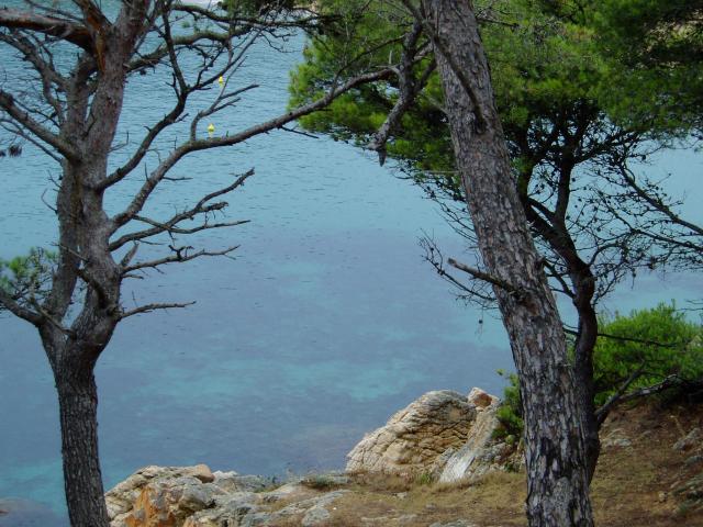 image Detalle de costa, Palamós, Girona