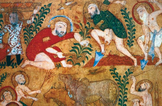 image Miniatura del Tratato árabe sobre plantas medicinales