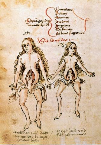 image Anatomia femenina