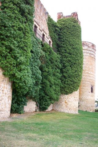 image Muralla en Castilnovo, Segovia