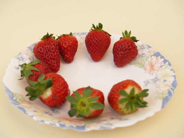 image 8 fresas