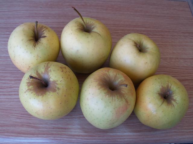 image 6 manzanas