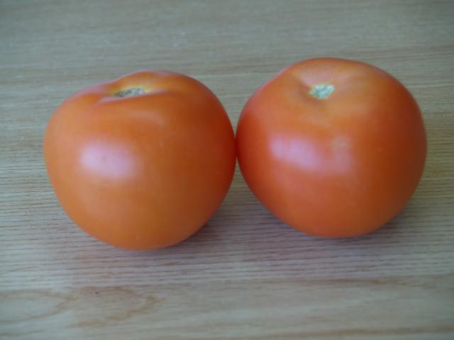 image 2 tomates
