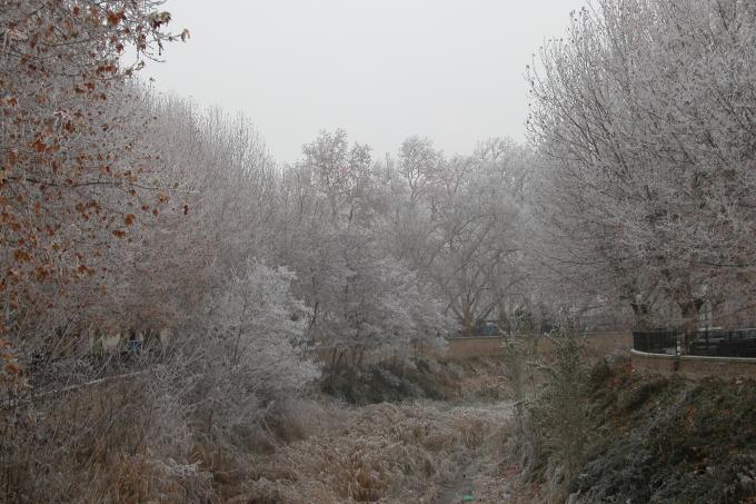 image Parque en invierno