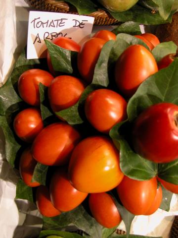 image Tomate de árbol