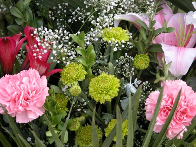 image Claveles y siemprevivas