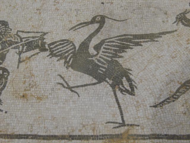 image Mosaico de Neptuno, Ruinas de Itálica, Santiponce, Sevilla