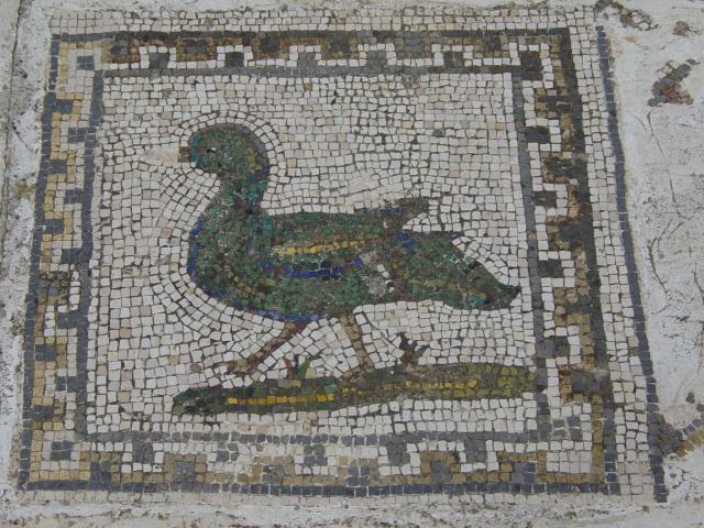 image Mosaico de la Casa de los Pájaros, Ruinas de Itálica, Santiponce, Sevilla