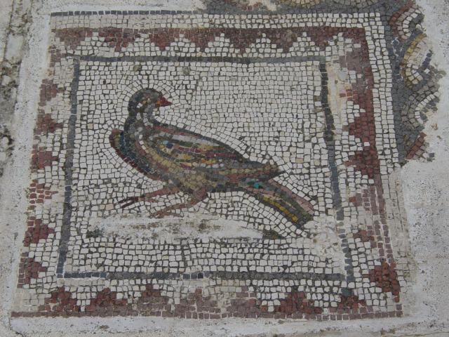 image Mosaico de la Casa de los Pájaros, Ruinas de Itálica, Santiponce, Sevilla