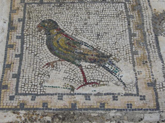 image Mosaico de la Casa de los Pájaros, Ruinas de Itálica, Santiponce, Sevilla
