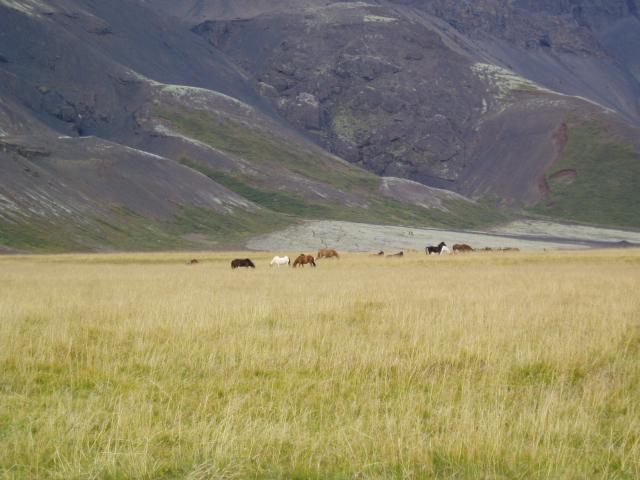 image Paisaje, Islandia
